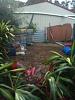 Click image for larger version. 

Name:	March 2010 Back of shed Aquaponics area.jpg 
Views:	335 
Size:	25.1 KB 
ID:	2666