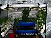 Click image for larger version. 

Name:	120 Things in 20 years - Aquaponics - Finished grow house.jpg 
Views:	161 
Size:	265.8 KB 
ID:	3299
